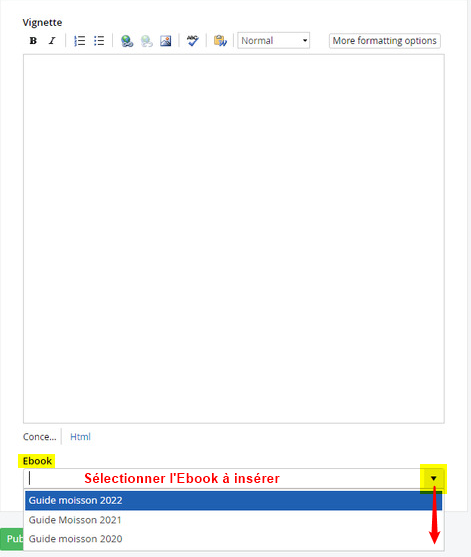 wiki:actu_ebook.png